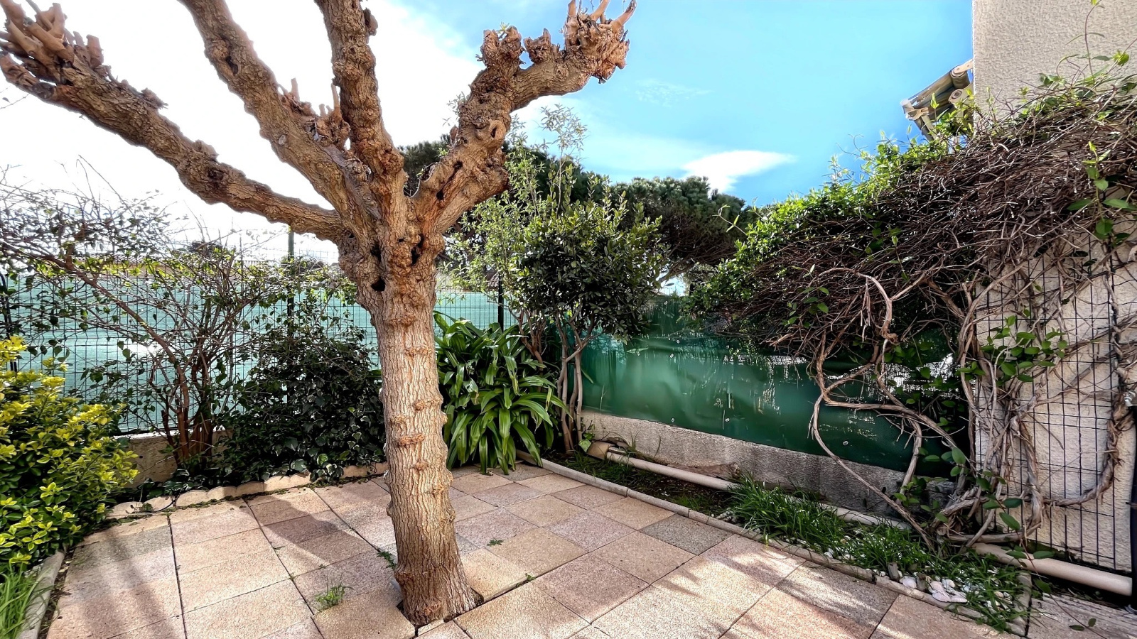 Image_,
            Appartement, Valras-Plage, ref :Val-4936