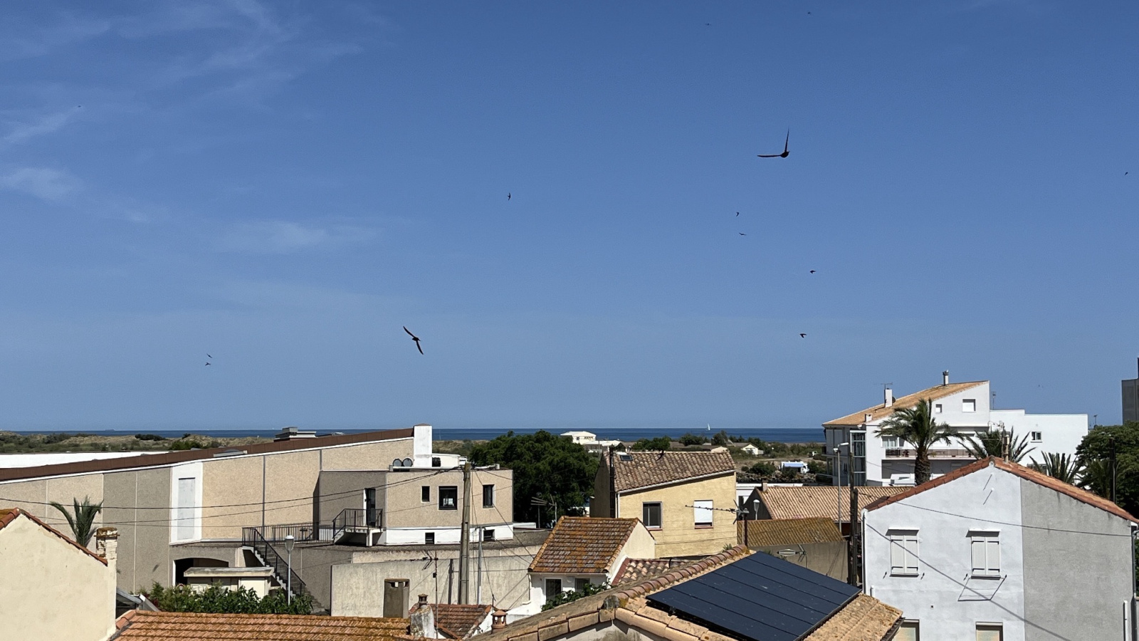 Image_,
            Appartement, Valras-Plage, ref :Val-4941